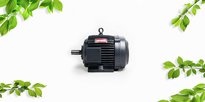 Taro Pumps Electric Induction Motor