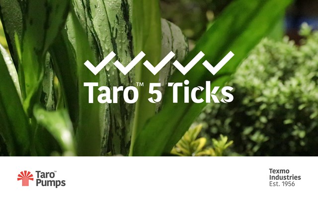 Taro Pumps Taro 5 Ticks Banner