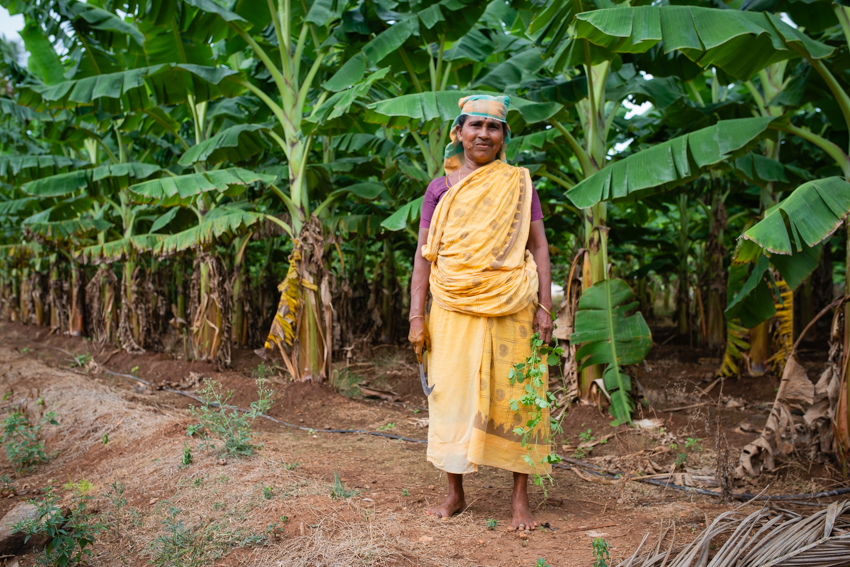 Woman Farmer in Banana Field