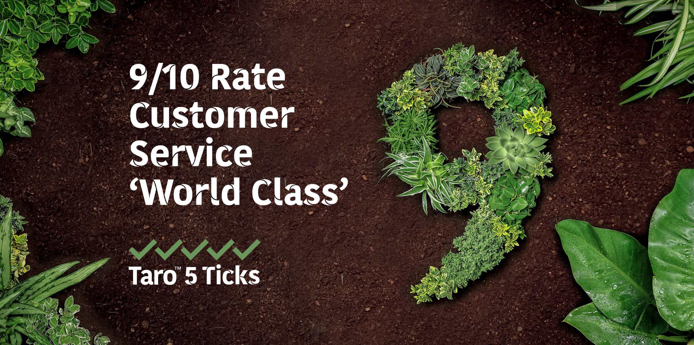 Taro Pumps 9 out of 10 Rate Customer Service World Class Banner