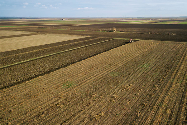 Aerial view of empty cotton field