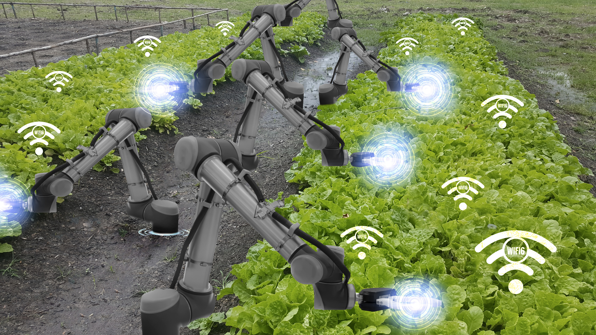 Automated farm machine