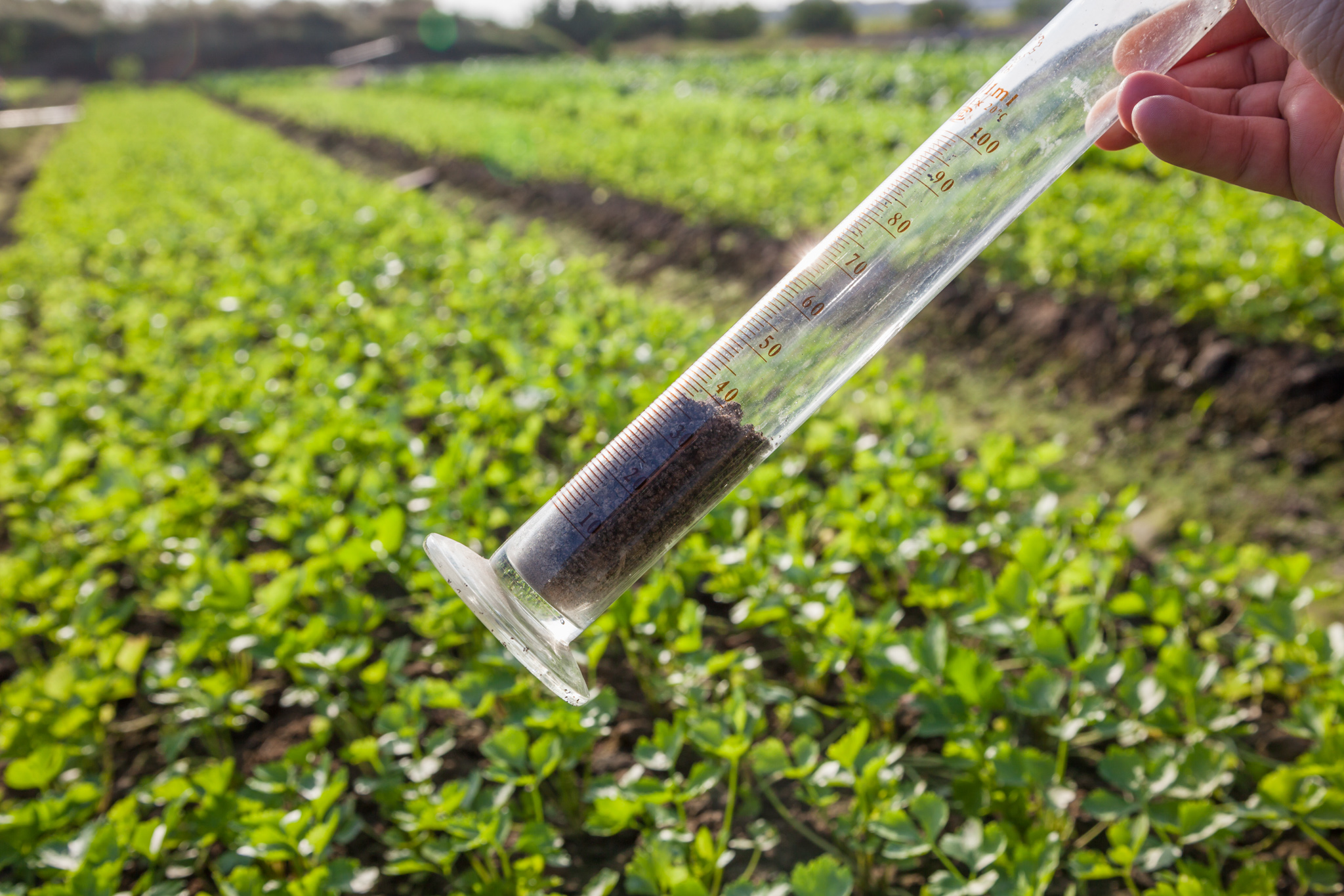 Агрохимические обследования. Лабораторные исследования почвы. Исследование проб почвы. Почва в пробирке. Биотехнологии в сельском хозяйстве.