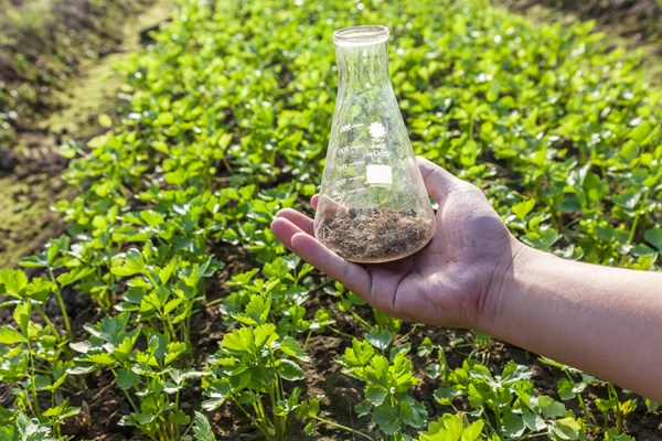 A beaker of soil