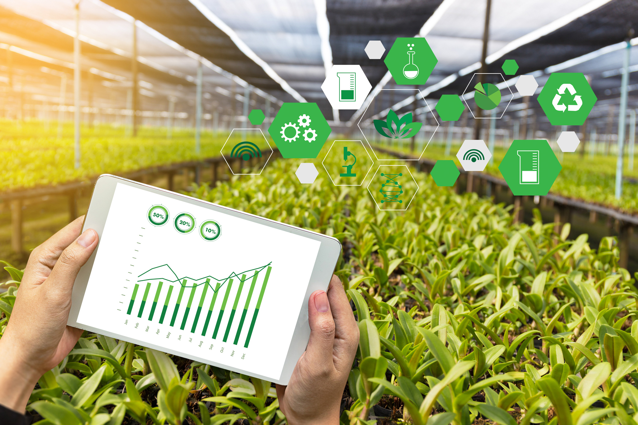 Farmer in a field with a tablet displaying a graph