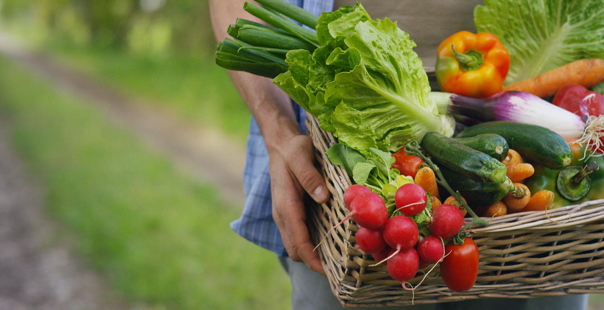 A basket of vegetables