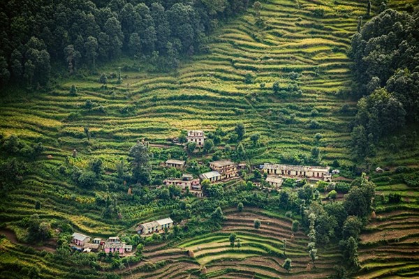 Ariel view of a terraced farm land with scattered houses