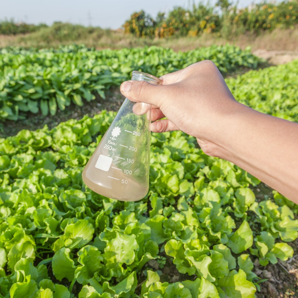 Hand holding a flask with a farm in the background