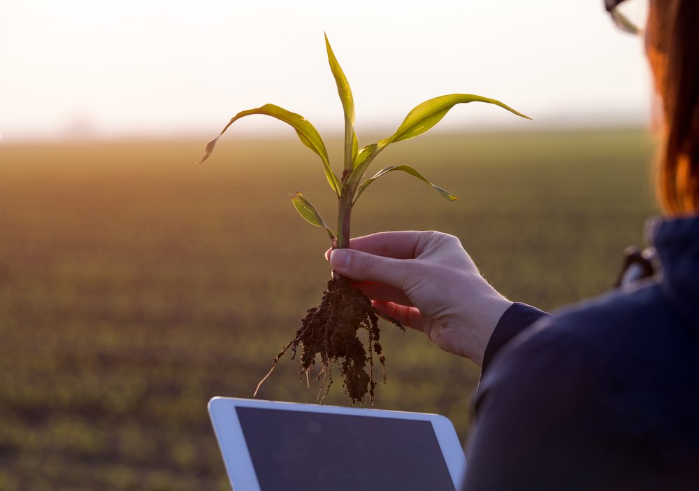 Farmer holding an uprooted sapling and a tablet