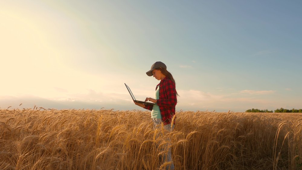 Farmer woman with a laptop in a wheat field