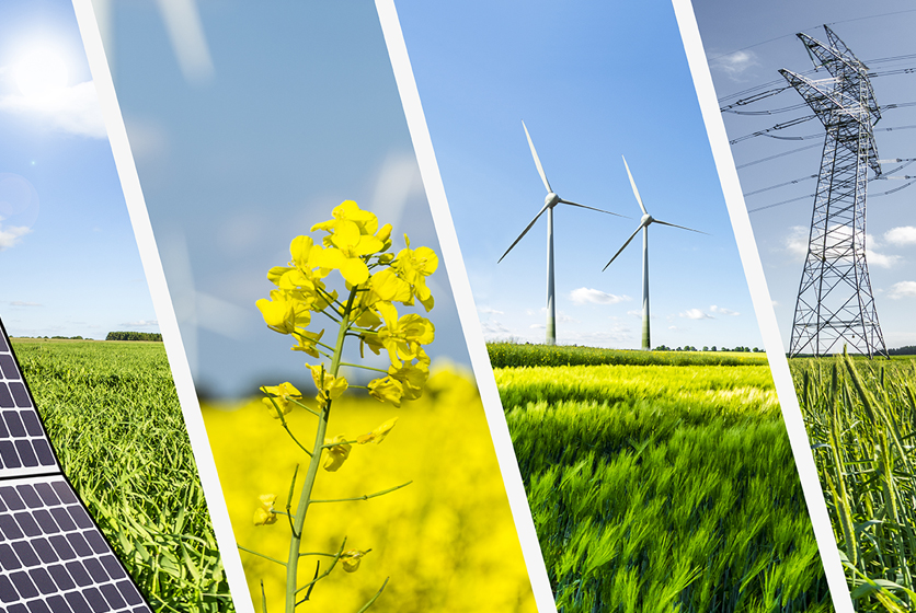 Four sections each showing a solar panel, flowers, wind mill and an electrical tower