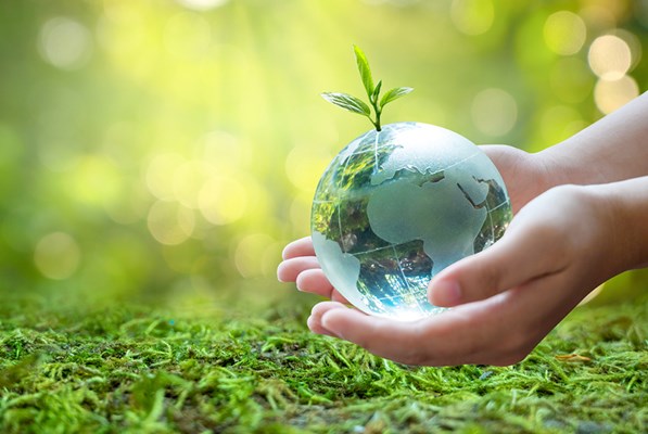 Hand holding a glass globe of earth with a sapling