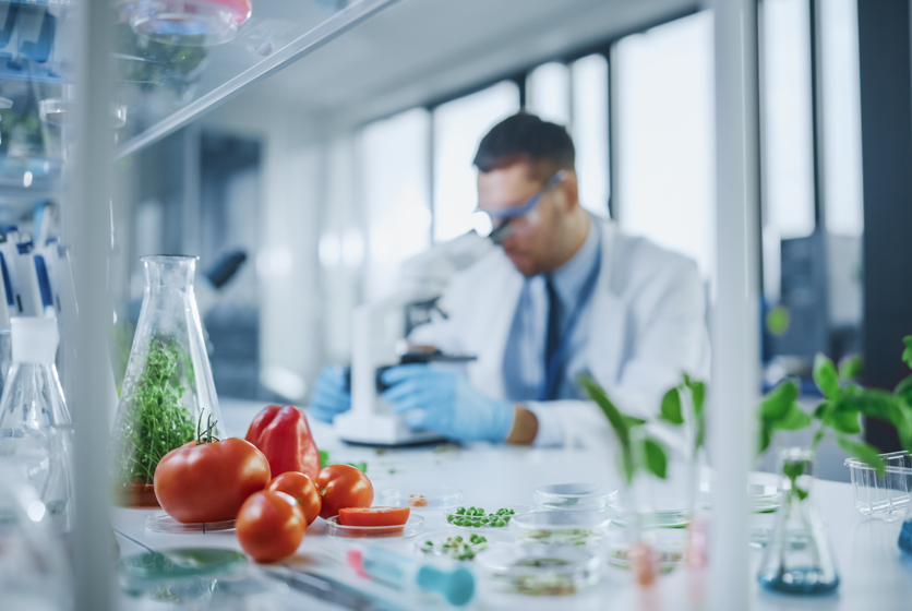 Lab technician studying specimen under microscope with fruits and beakers scattered on the table