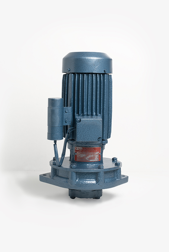 Jet Pump Domestic by Taro Pumps