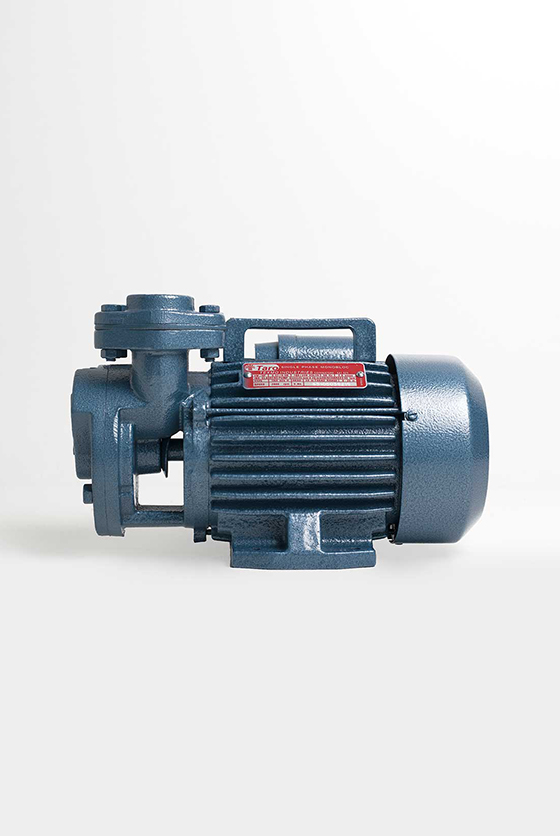 Domestic Self-Priming Monoblock by Taro Pumps