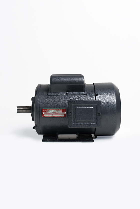 Taro Pumps Electric Induction Motors for industrial use