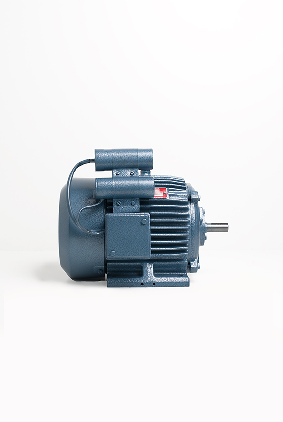 Taro Pumps Electric Induction Motors for domestic use