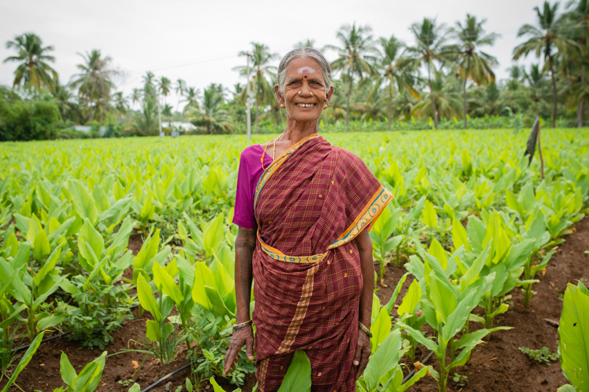 Smiling woman farmer in a green field