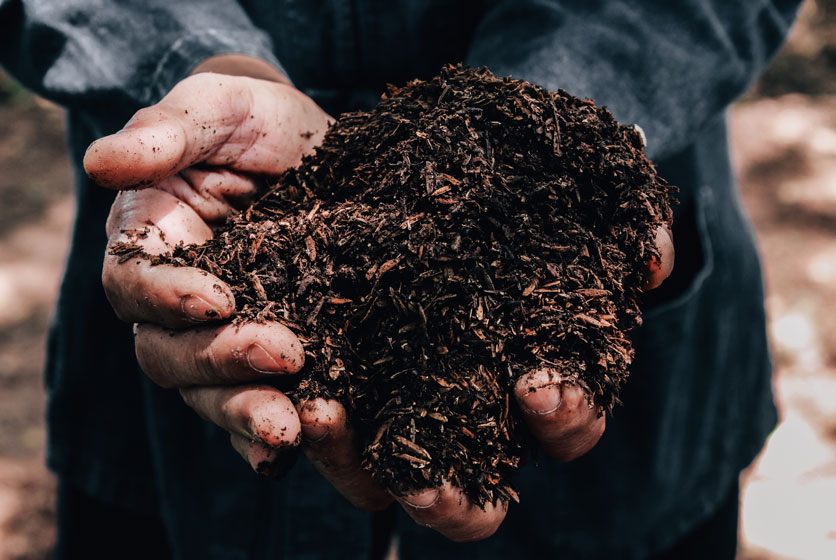 Handful of soil