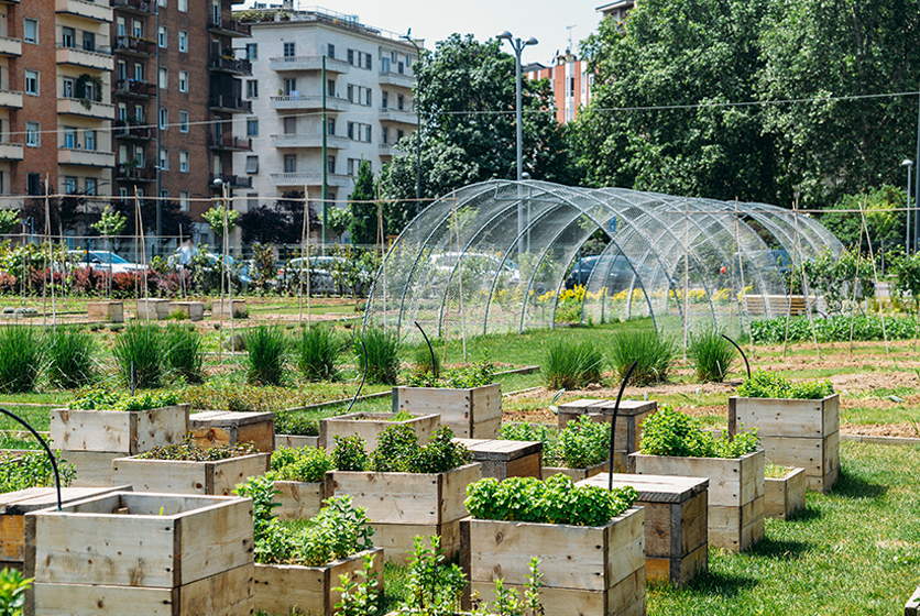 Greenhouse and boxes of plants with apartment buildings and cars in the background