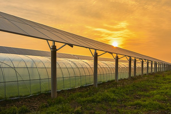 Solar panel fence around a greenhouse