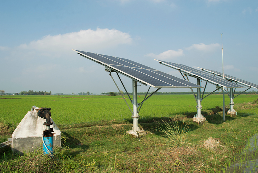Several solar panels in a farm