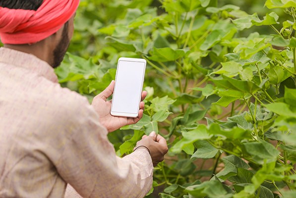 Farmer with a mobile