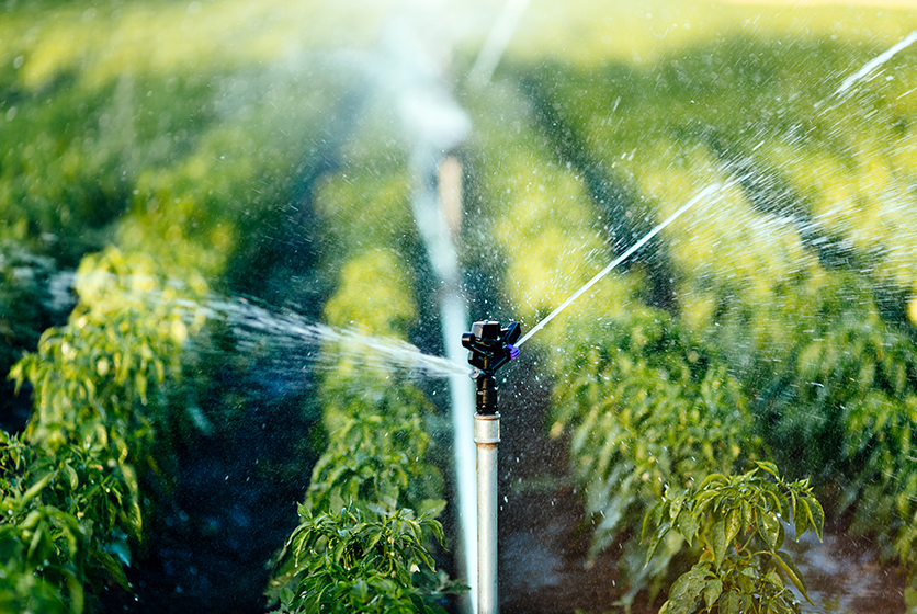 Water irrigation in a field