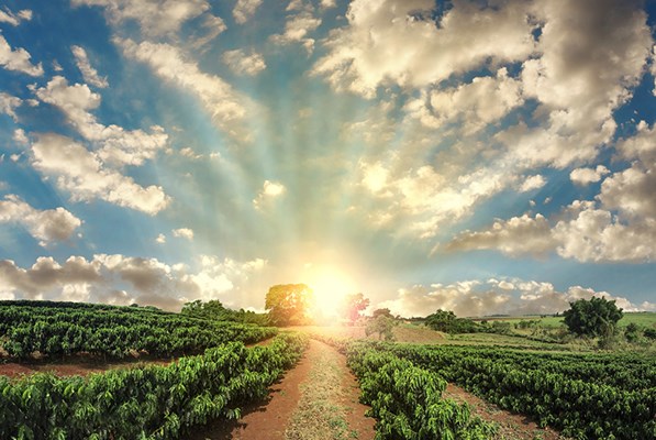 Picture of the sky over a field with the sun shining