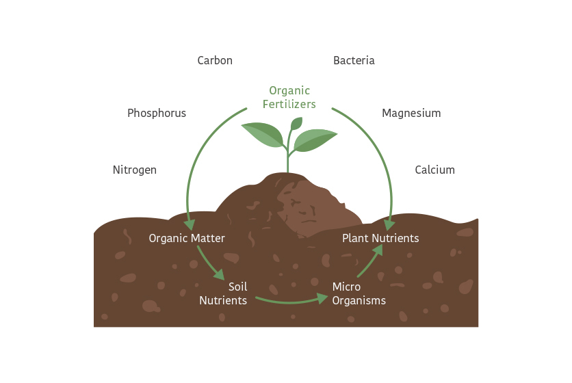 Pictorial of cycle of nutrients in soil