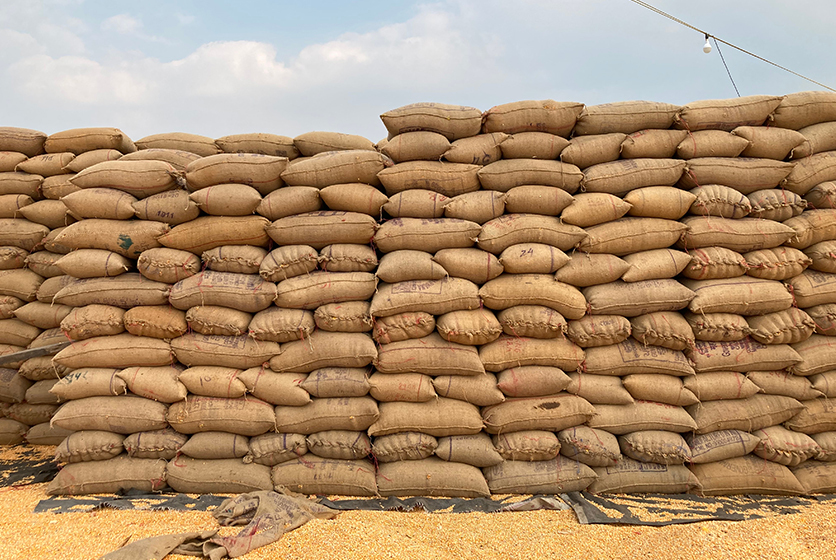 A pile of sacks with grains stacked high