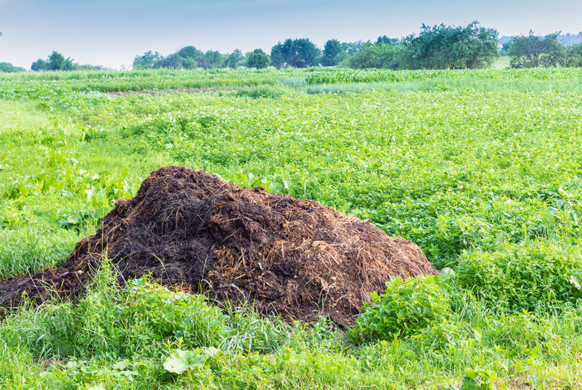 Pile of fertilser