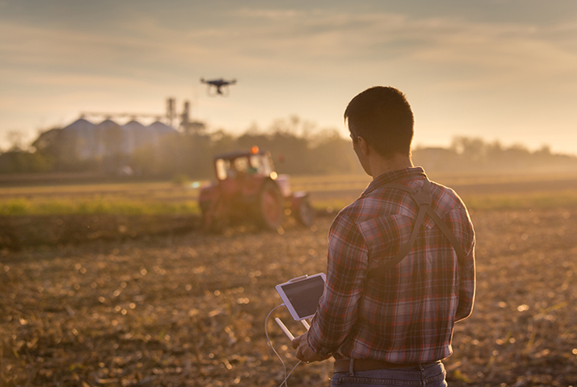 Farmer flying a drone over a farm land