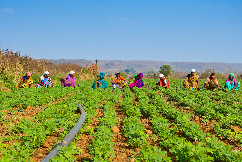 Women farmers working in a field