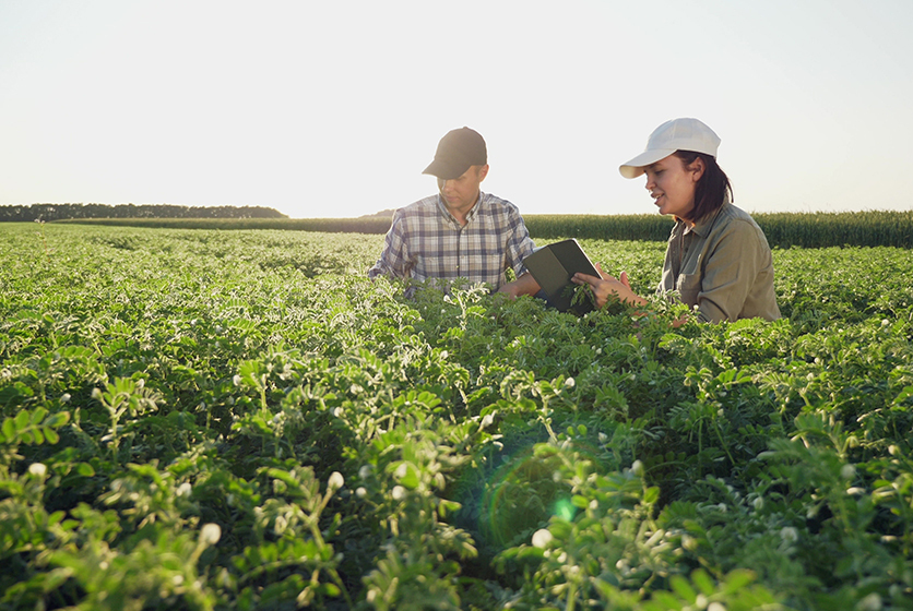 Techie with a tablet with a farmer in a field