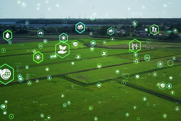 Chemical symbols on a green field background