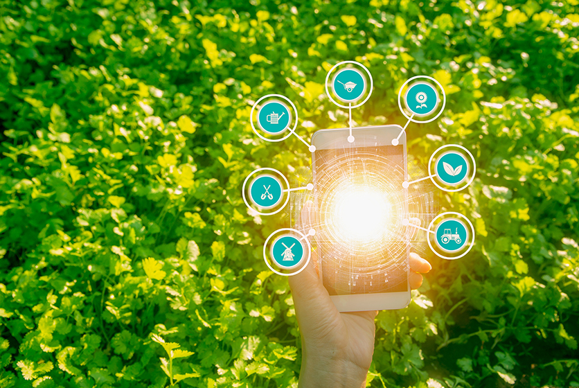 Hand holding a mobile with a green field as background