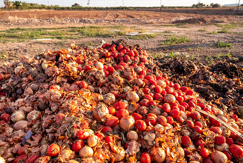 Pile of agri waste