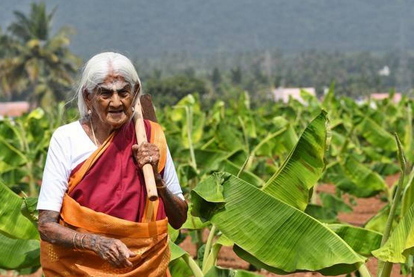 Photo of Pappammal carrying a spade in a banana field