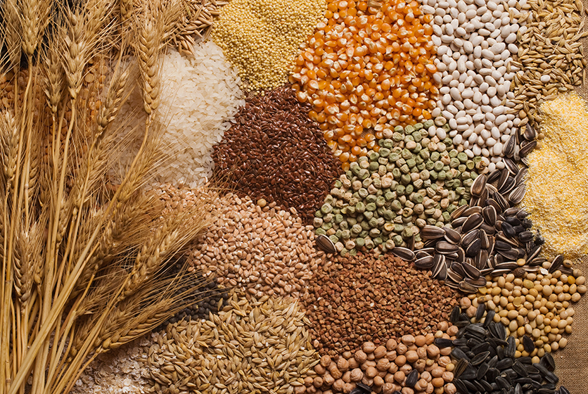 Different types of seeds and grains
