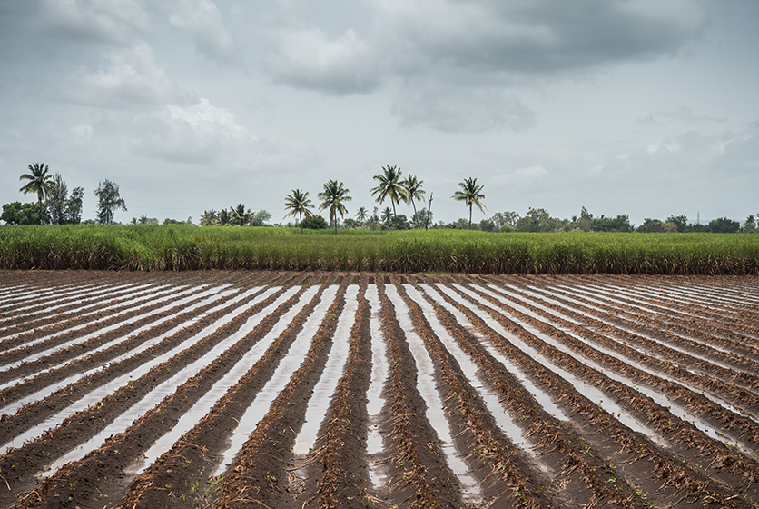 Farm land