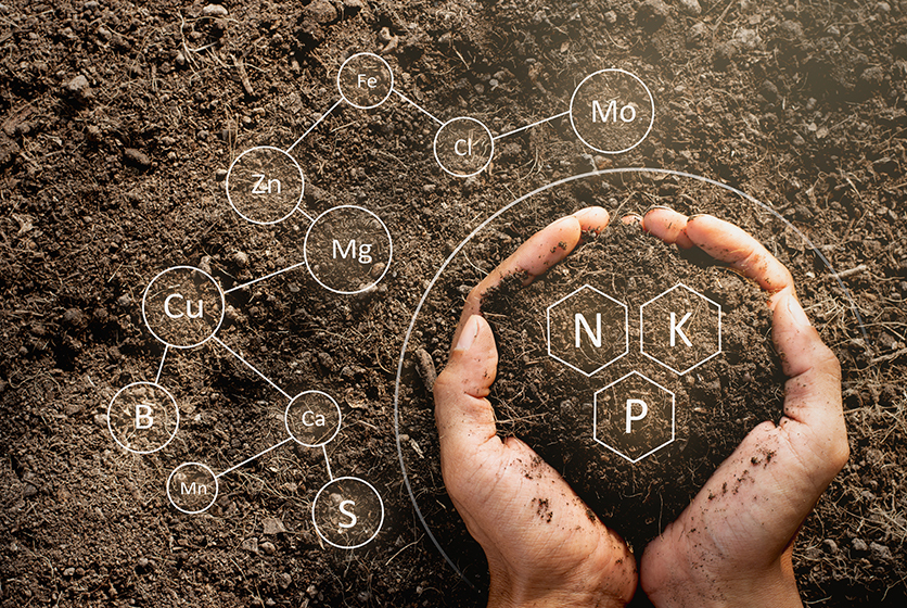 Handful of soil surrounded by chemical symbols in the soil