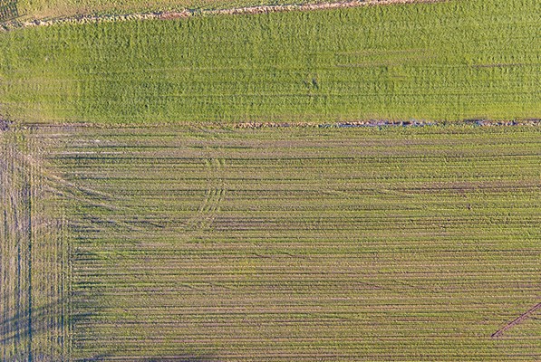 Aerial view of farm land