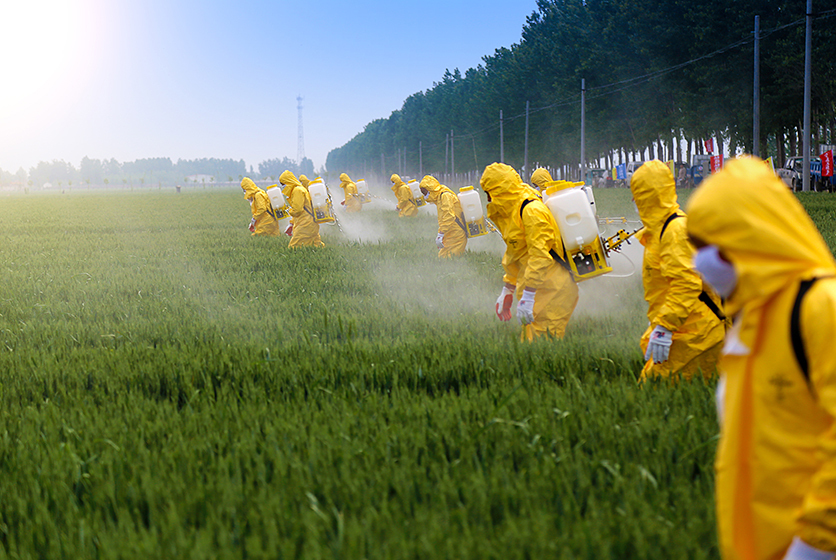 Workers in hazmat suits spraying a field
