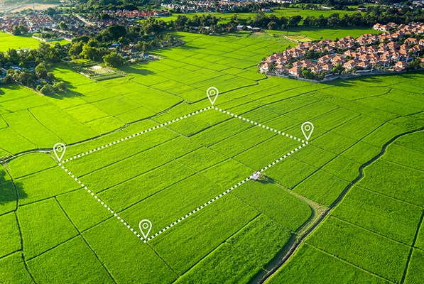 Aerial view of a field and houses