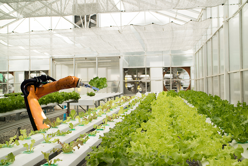 Automated machine operating in a greenhouse