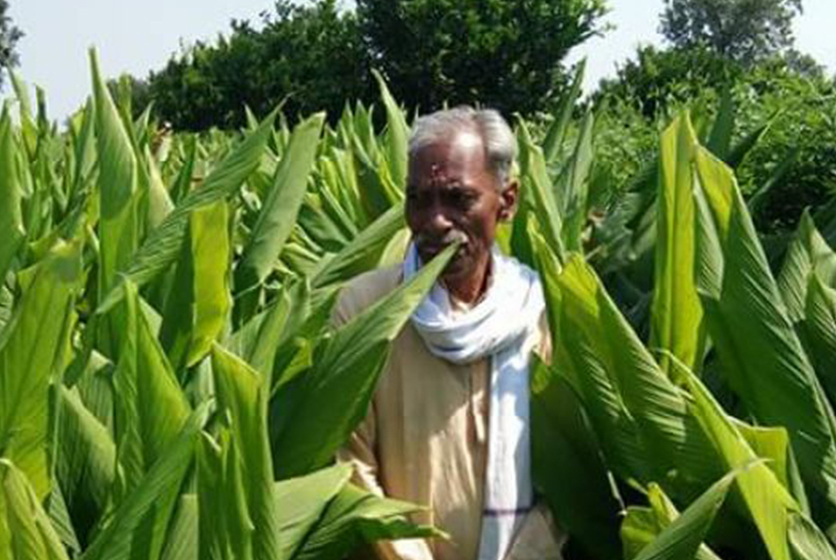Photo of Subhash Palekar in a corn field