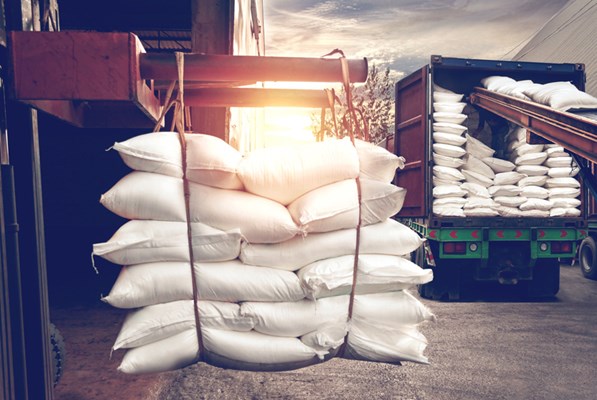 Conveyors transporting sacks of grain into trucks