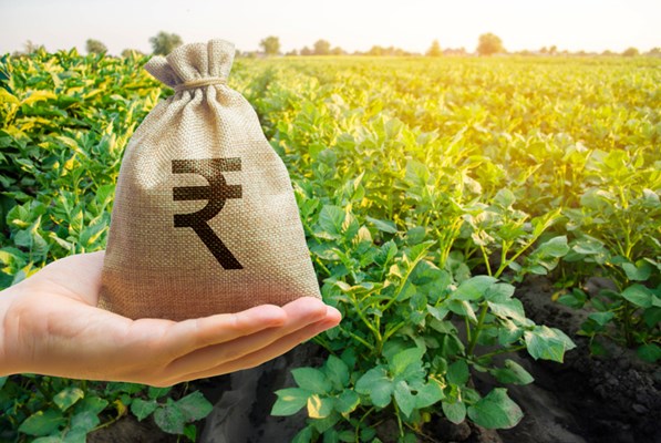 A moneys pouch in a palm with a field as background 