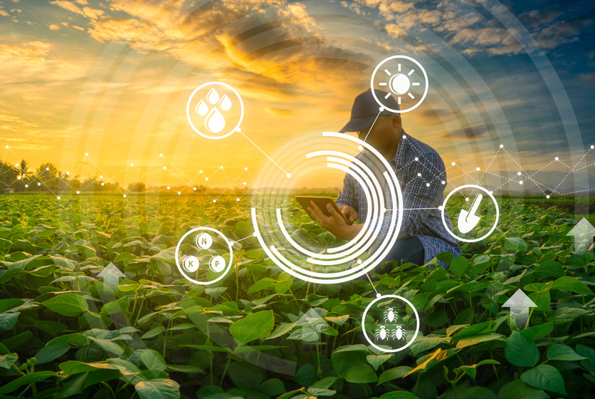 Farmer in a field